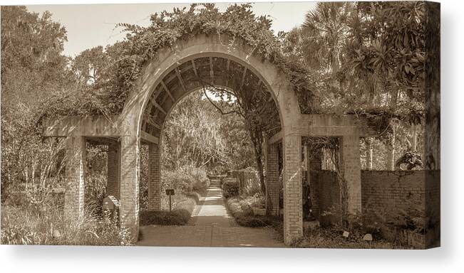 2017 Canvas Print featuring the photograph Garden Arch by Darrell Foster