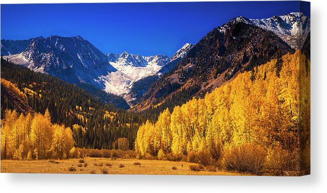 Autumn Canvas Print featuring the photograph Golden Autumn Morning by Andrew Soundarajan
