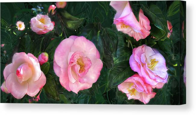 Pink Camellias Canvas Print featuring the digital art Harbingers of Spring by Gina Harrison