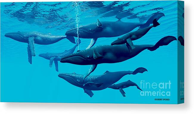 Humpback Whale Canvas Print featuring the painting Humpback Whale Group by Corey Ford
