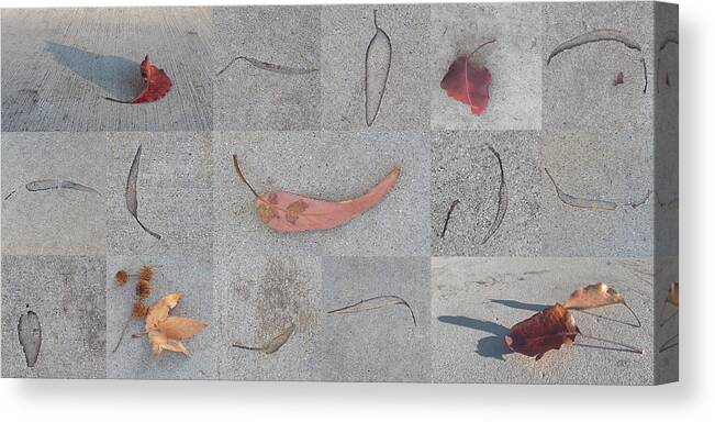 Botanical Canvas Print featuring the photograph Leaves And Cracks Collage by Ben and Raisa Gertsberg