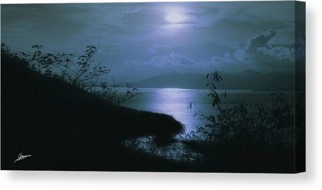 Nature Canvas Print featuring the photograph Moon Over Red Hook by Phil Jensen