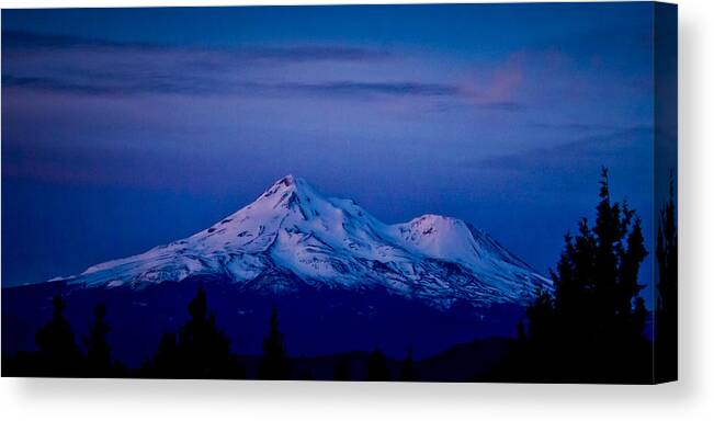 Mt Shasta Canvas Print featuring the photograph Mt Shasta at Sunrise by Albert Seger