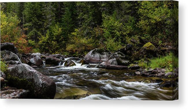 Nature Canvas Print featuring the photograph Oregon Art by Gary Migues
