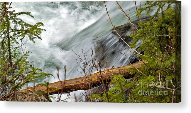 Paradise River Canvas Print featuring the photograph Paradise Express by Chuck Flewelling