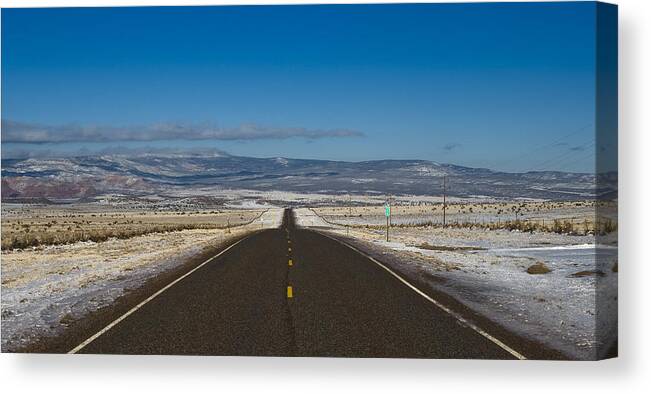 Road Canvas Print featuring the photograph Road NM 96 by Lou Novick