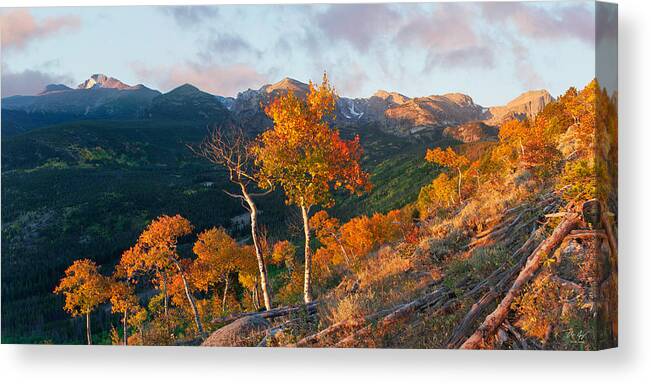 Rocky Mountain National Park Canvas Print featuring the photograph Rocky Mountain National Park Autumn by Aaron Spong