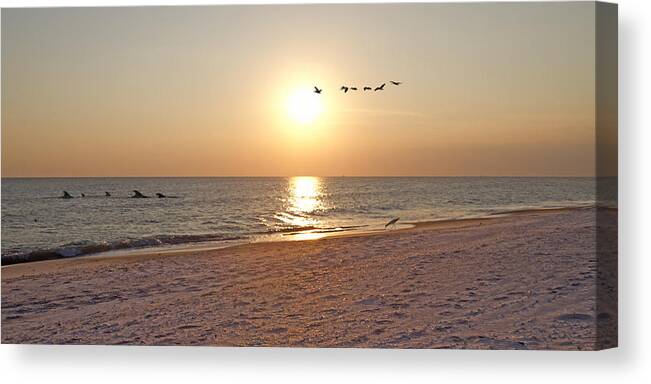 Shackleford Canvas Print featuring the photograph Shackleford Banks Sunset by Betsy Knapp