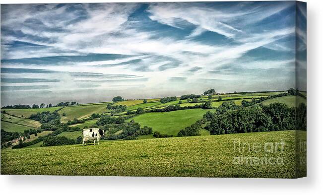 Sights Canvas Print featuring the photograph Sights in England - Cow in Pasture by Walt Foegelle