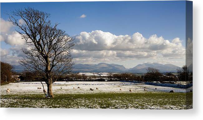 Wales Canvas Print featuring the photograph Snowdonia Mountains from Henblas by Peter OReilly