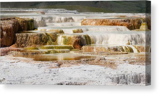 Mammoth Hot Springs Canvas Print featuring the photograph Terrace Colors by Chad Davis
