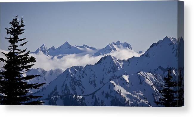 Mt Olympus Canvas Print featuring the photograph The Olympics by Albert Seger