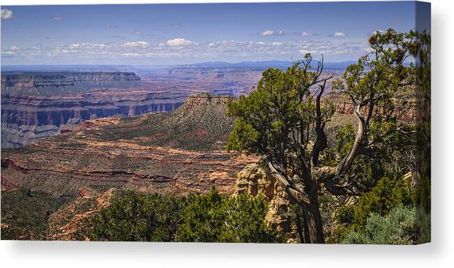 Grand Canyon Canvas Print featuring the photograph The Other Side by Steve L'Italien
