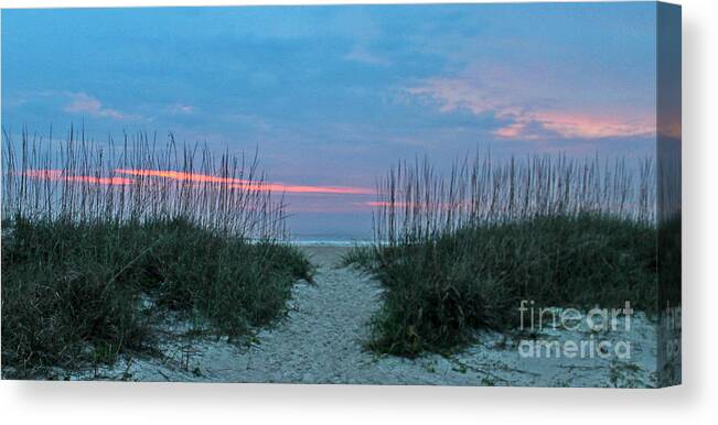 St. Augustine Canvas Print featuring the photograph The Path by LeeAnn Kendall