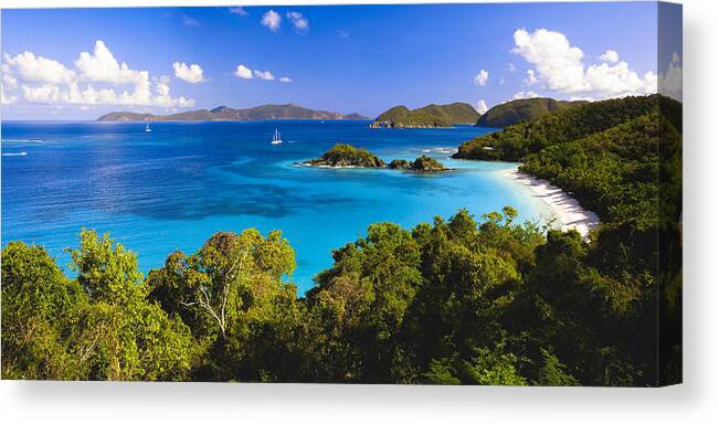Bay Canvas Print featuring the photograph Trunk Bay Panorama by George Oze