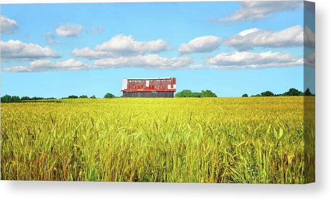Wheat Farm Canvas Print featuring the photograph Wheat Farm by Steven Michael