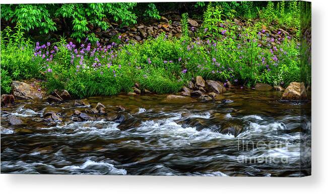 Williams River Canvas Print featuring the photograph Wild Sweet Williams River by Thomas R Fletcher