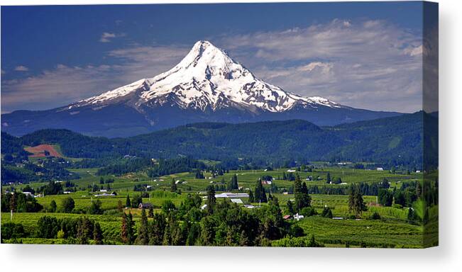 Oregon Canvas Print featuring the photograph Wine Country by Scott Mahon