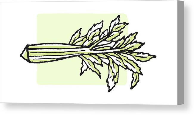 Campy Canvas Print featuring the drawing Celery #2 by CSA Images