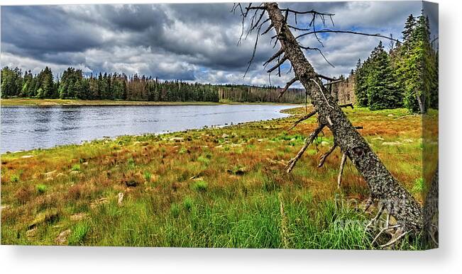 Harz Canvas Print featuring the photograph The Harz National Park by Bernd Laeschke