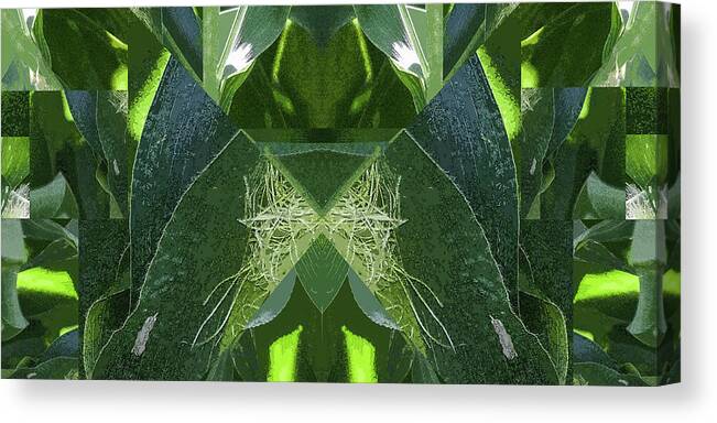 Corn Leaves Canvas Print featuring the photograph A-Maize 2, Flying Corn - by Julie Weber