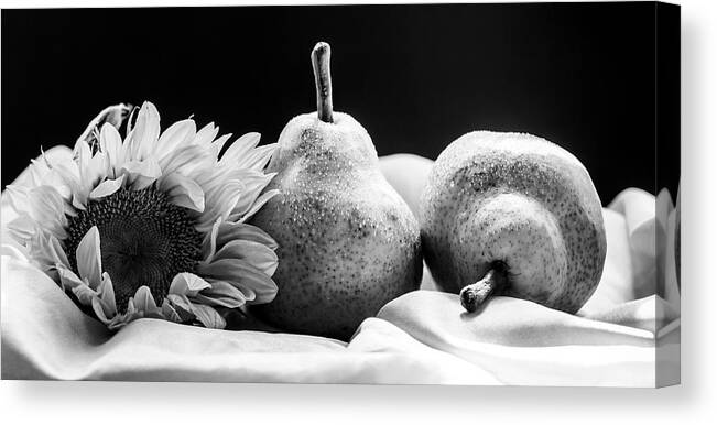 Still Life Canvas Print featuring the photograph A Sunflower and Pears in Black and White by Maggie Terlecki