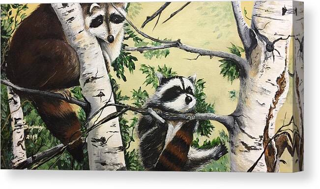 Raccoon Canvas Print featuring the painting Just Hanging in There by Sharon Duguay