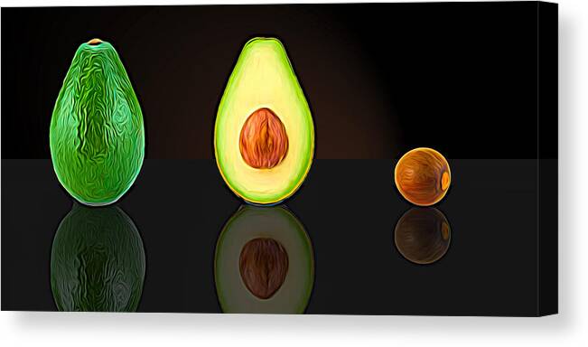 Photography Canvas Print featuring the photograph My Avocado Dream by Paul Wear