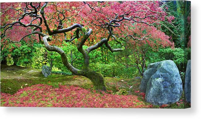 Pink Tree Canvas Print featuring the photograph Pink Tree by Moises Levy