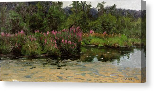Purple Lustrife Flowers Growing By Townsend's Pond. Canvas Print featuring the painting Purple Lustrife - Townsend's Pond by Michael Budden