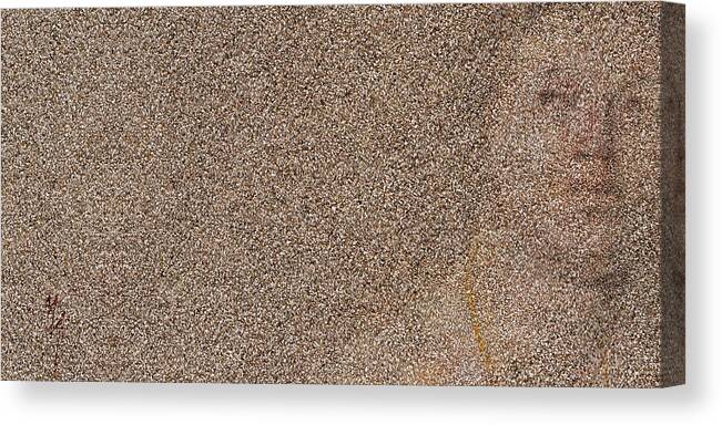 Sand Of Pompeii Canvas Print featuring the digital art Sand of Pompeii by Attila Meszlenyi