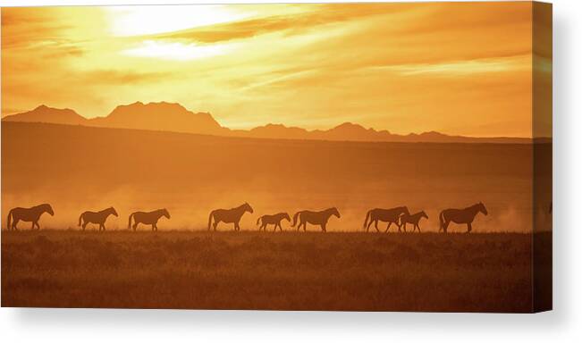 Wild Horses Canvas Print featuring the photograph Wild Sunset by Mary Hone