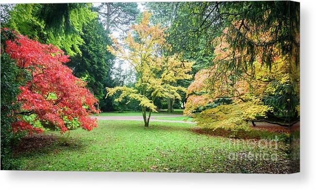 Autumn Canvas Print featuring the photograph Autumn colours #6 by Colin Rayner