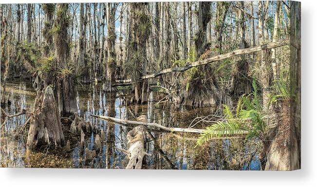 Big Cypress National Preserve Canvas Print featuring the photograph Big Cypress Wilderness by Rudy Wilms
