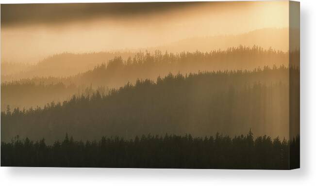 British Columbia Canvas Print featuring the photograph Green in the shadow of gold by Murray Rudd