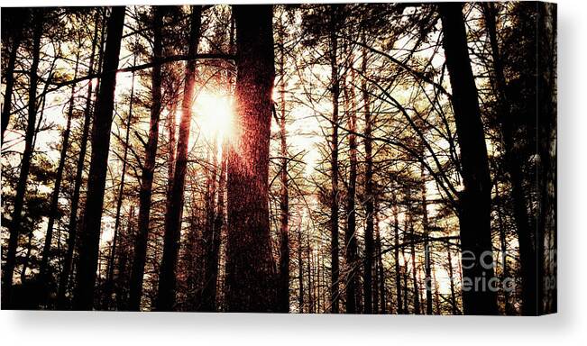 Fine Art Photography Canvas Print featuring the photograph Light's End by RicharD Murphy