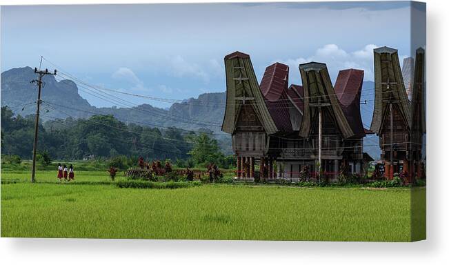 Toraja Canvas Print featuring the photograph On the way to school by Anges Van der Logt