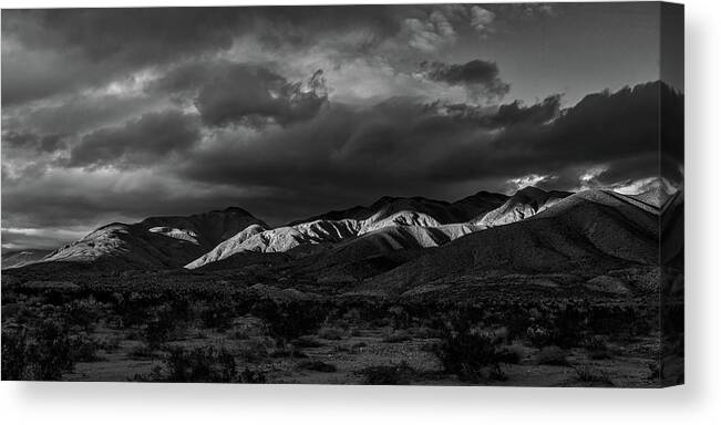 Black & White Canvas Print featuring the photograph Peaking Through by Peter Tellone