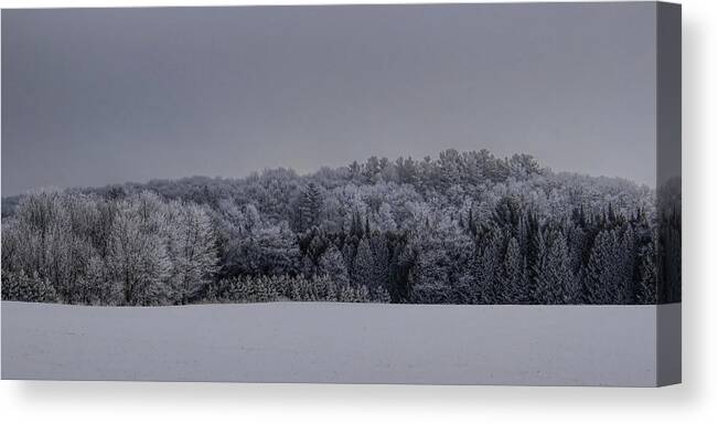 Winter Canvas Print featuring the photograph Rime Ice Hill by Dale Kauzlaric