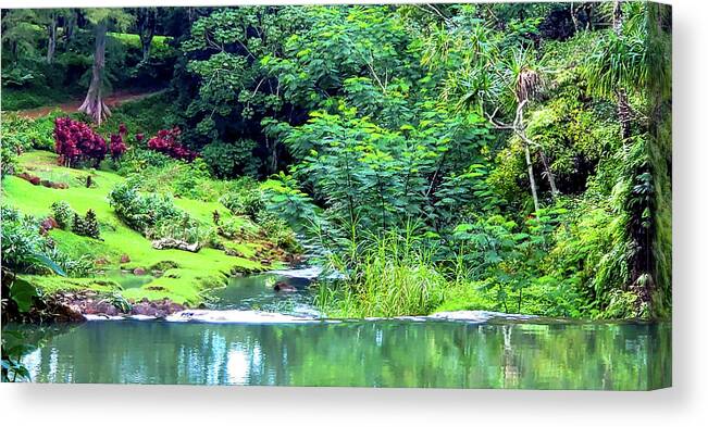 Kauai Canvas Print featuring the photograph Stone Dam by Tony Spencer