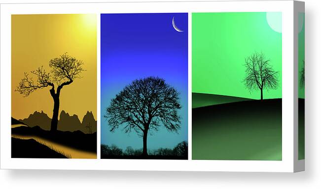 Tree Triptych Canvas Print featuring the photograph Tree Triptych by Mark Rogan