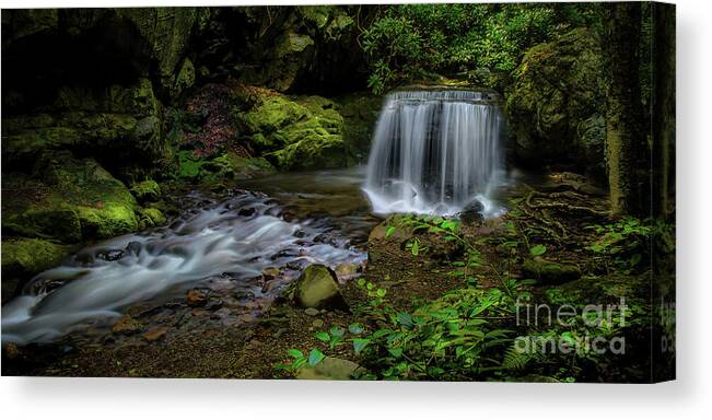 Panorama Canvas Print featuring the photograph Waterfall in the Glen Panorama by Shelia Hunt