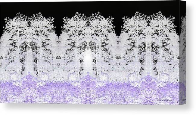 Forest Canvas Print featuring the digital art White Forest by Teresamarie Yawn