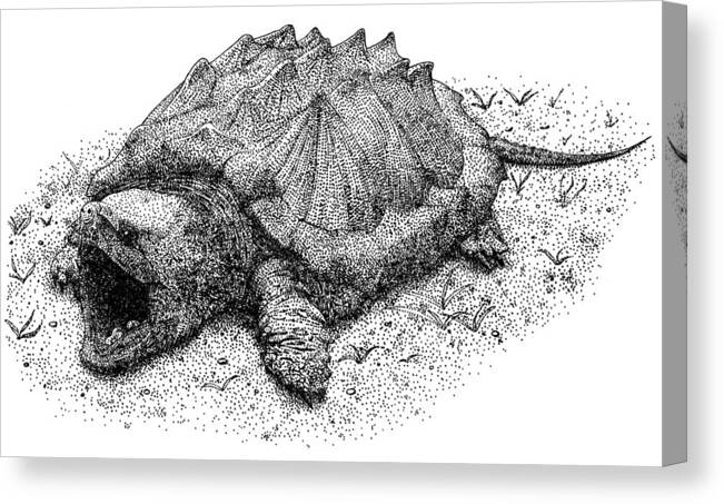 Alligator Snapping Turtle Canvas Print / Canvas Art by Roger Hall - Pixels