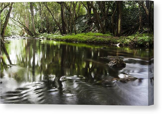 Art Canvas Print featuring the photograph Forward Motion by Jon Glaser