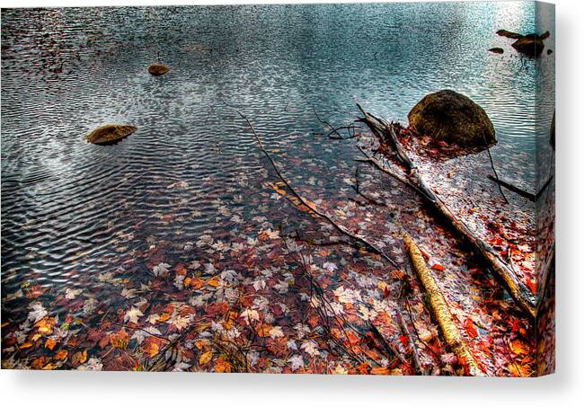 Adirondack's Canvas Print featuring the photograph Leaves in the Lake by David Patterson