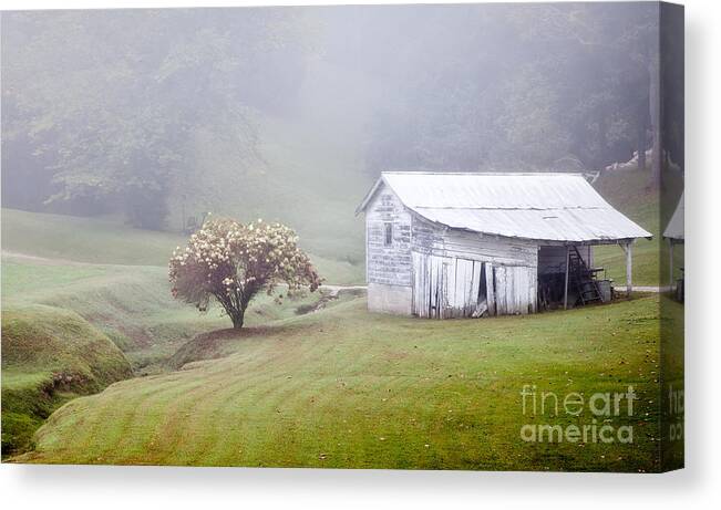 Abandoned Canvas Print featuring the photograph Old Weathered Wooden Barn in Morning Mist by Jo Ann Tomaselli