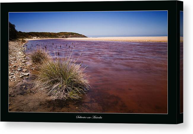Seascape Canvas Print featuring the photograph Saltwater nsw Australia 01 by Kevin Chippindall