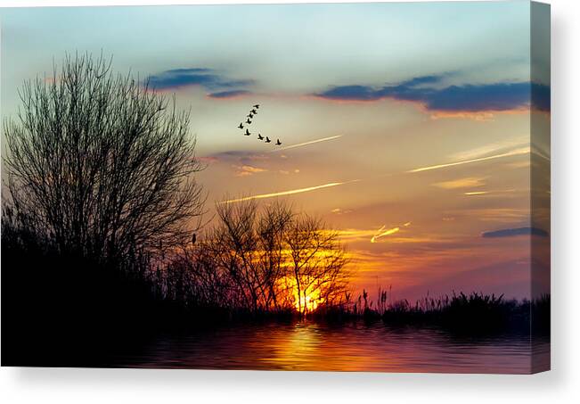 Sunset Canvas Print featuring the photograph Sundown and Birds by Cathy Kovarik