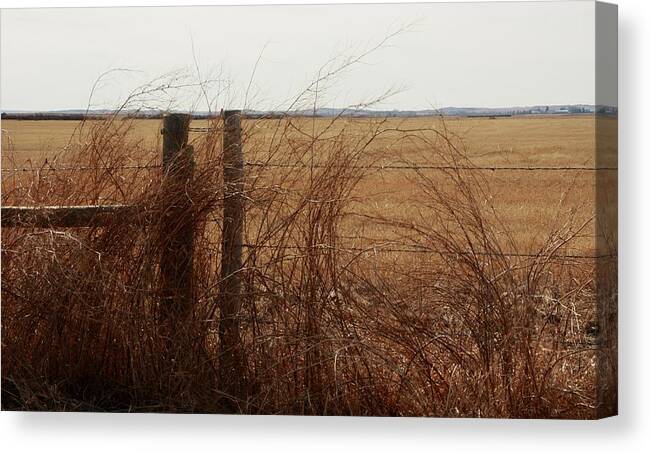 Fence Canvas Print featuring the photograph Prairie by Ellery Russell